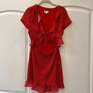 Revolve dress